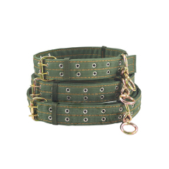 Cattle Collar