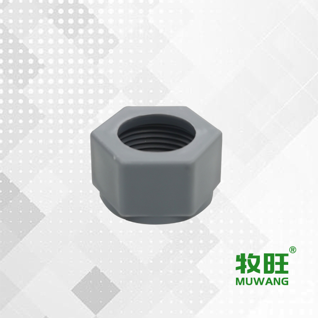 Backflow preventer valve