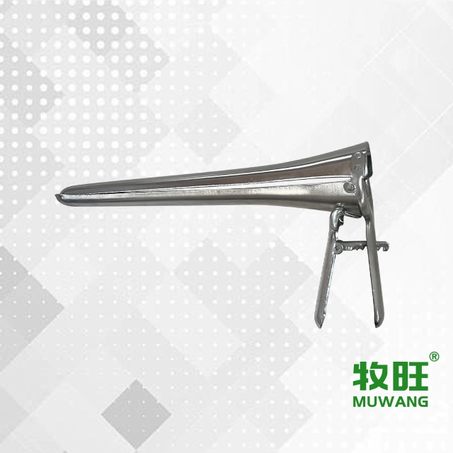 Sheep vaginal speculum veterinary instrument