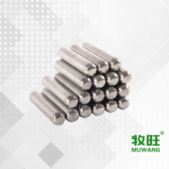 Cow stomach magnet 01