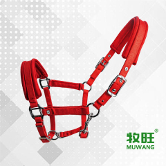 Horse halter