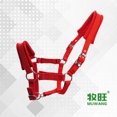 Horse halter
