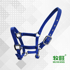 Horse halter