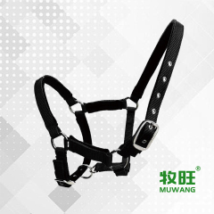 Horse halter
