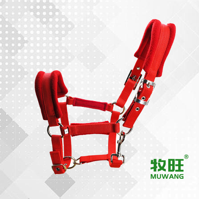 Horse halter