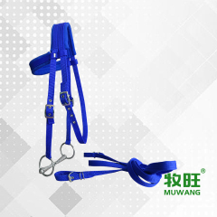 Horse bridle