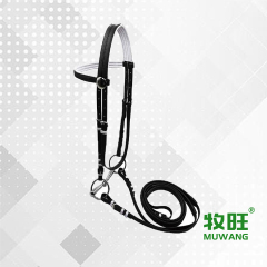Horse bridle
