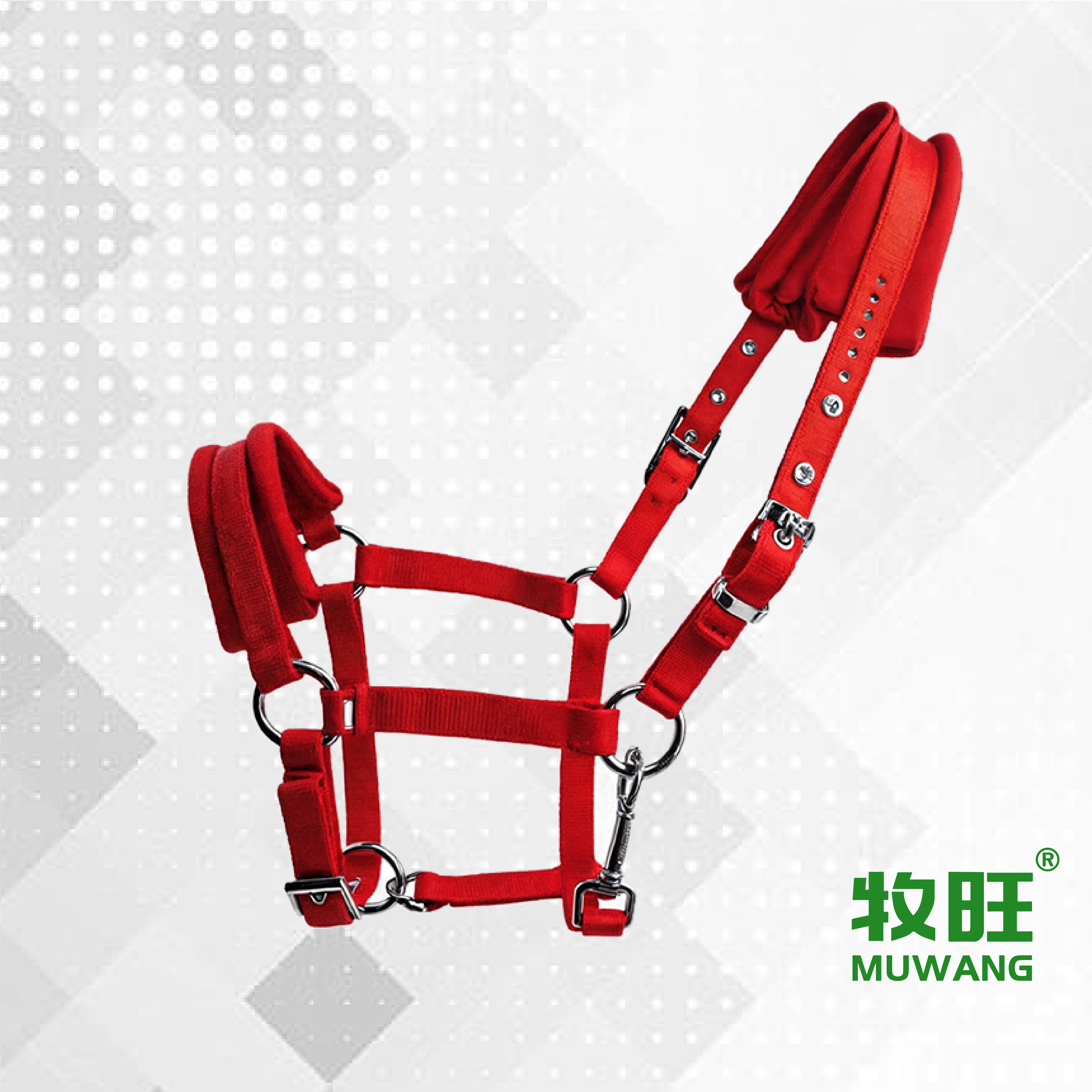 Horse halter