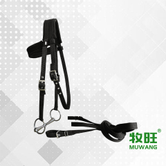 Horse bridle