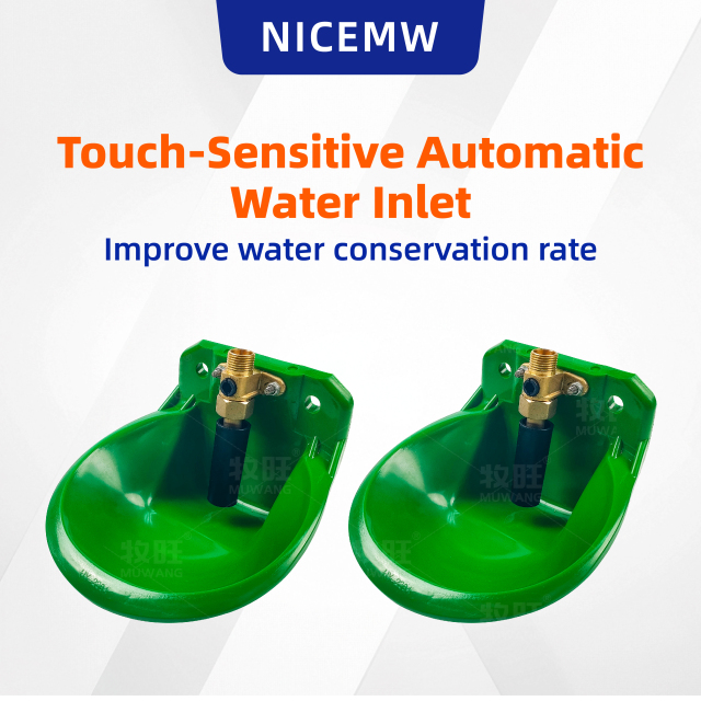 Drinking bowl for sheep