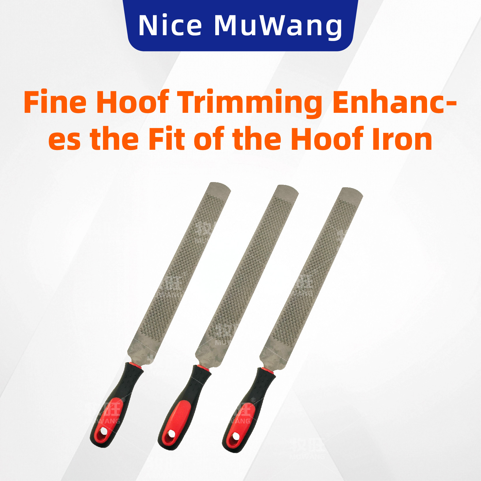 Hoof file for horse