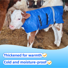 Blue calf coat