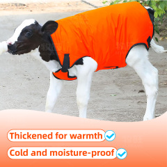 Orange calf coat