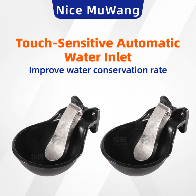 Cast Iron drinking bowl