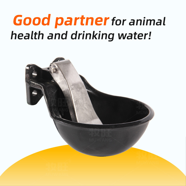 Cast Iron drinking bowl