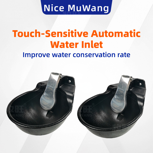 2.5L Cast Iron drinking bowl