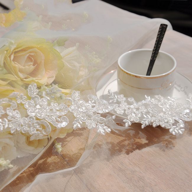 Beaded & Corded Embroidered Lace Trimming 3ST1001