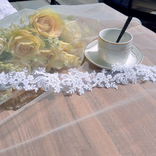 Beaded & Corded Embroidered Lace Trimming 3ST1001