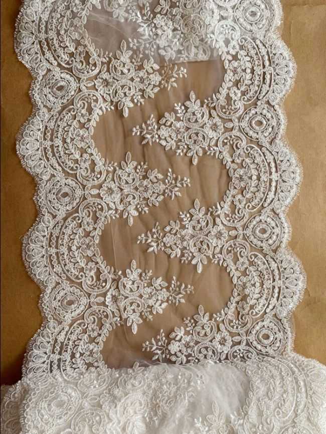 Corded Embroidered Trim Lace TLF281