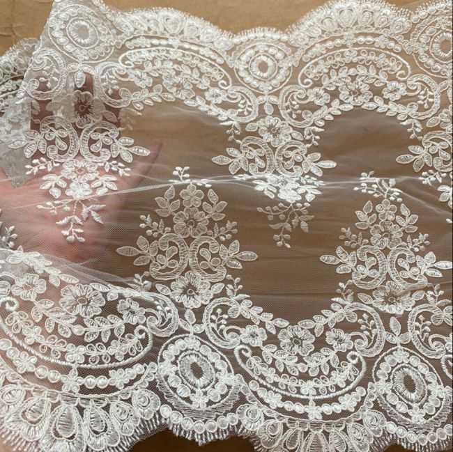 Corded Embroidered Trim Lace TLF281