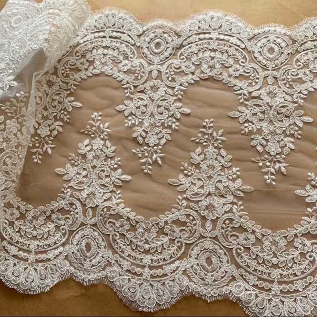 Corded Embroidered Trim Lace TLF281