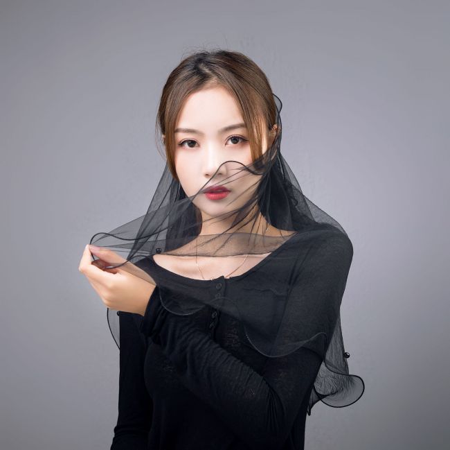 Bow Knot Wedding Veil WV004