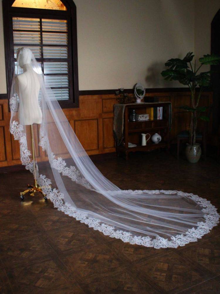 Lace Trim Bridal Veil WV461