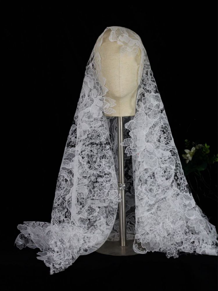 Lace Trim Bridal Veil WV478