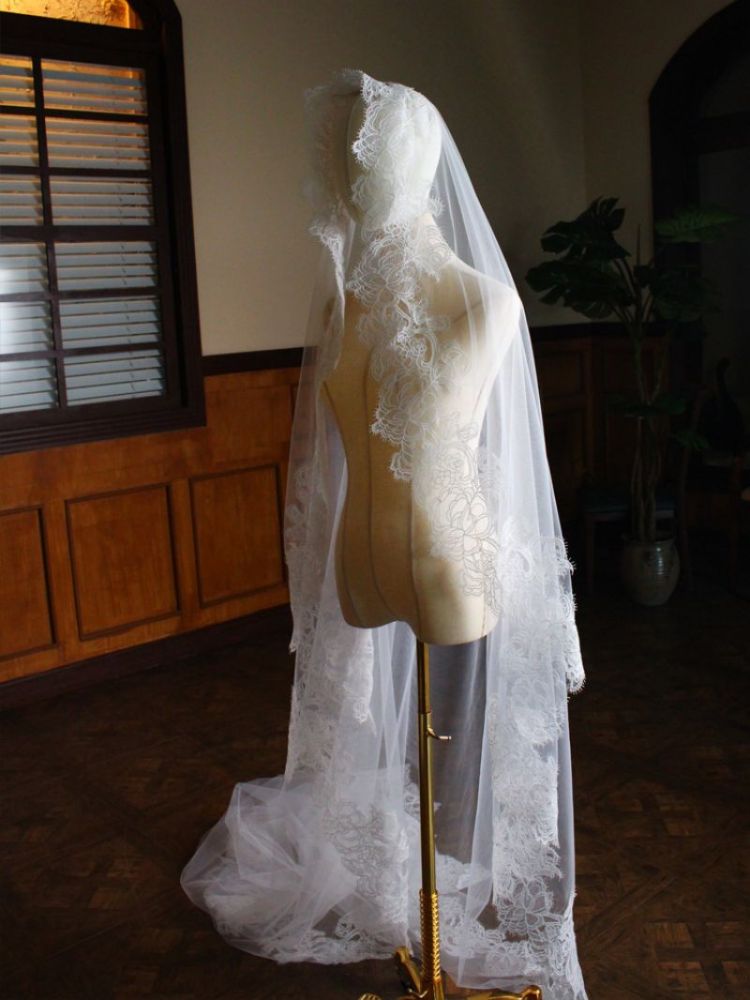 Lace Trim Bridal Veil WV461
