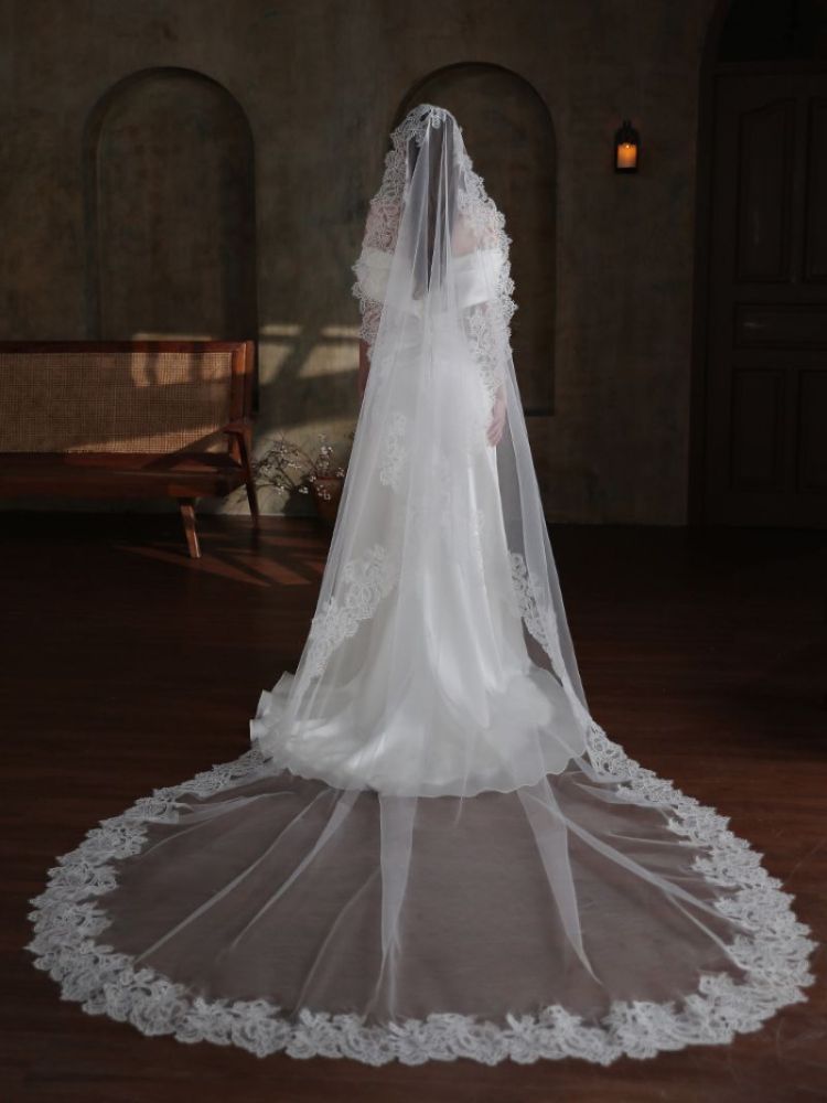 Lace Trim Bridal Veil WV461
