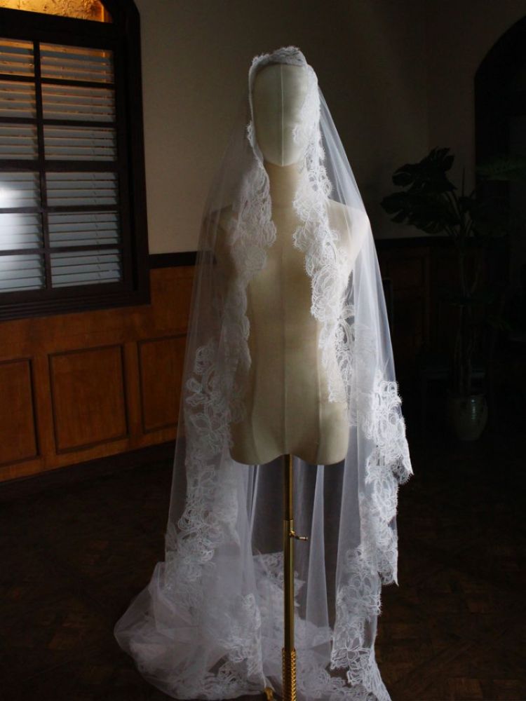 Lace Trim Bridal Veil WV461
