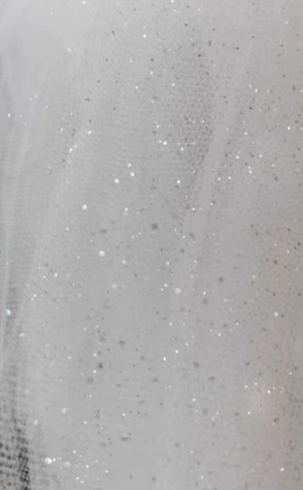 Glittering Wedding Veil