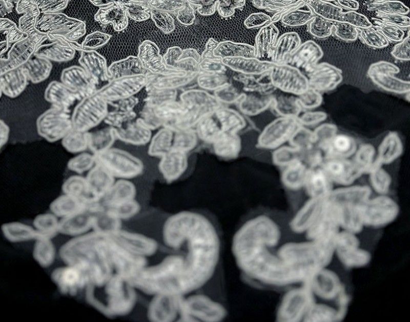 Horsehair Lace Trim Bridal Veil WV595
