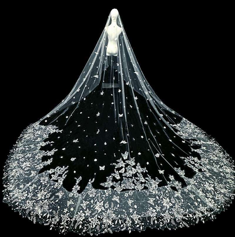 3D Floral Pearl Satin Horsehair Lace Trim Bridal Veil WV598
