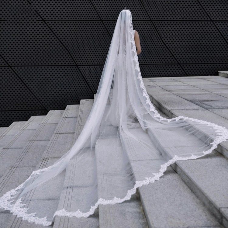 Lace Trim Bridal Veil WV634