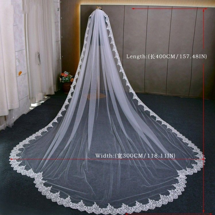 Lace Trim Bridal Veil WV634