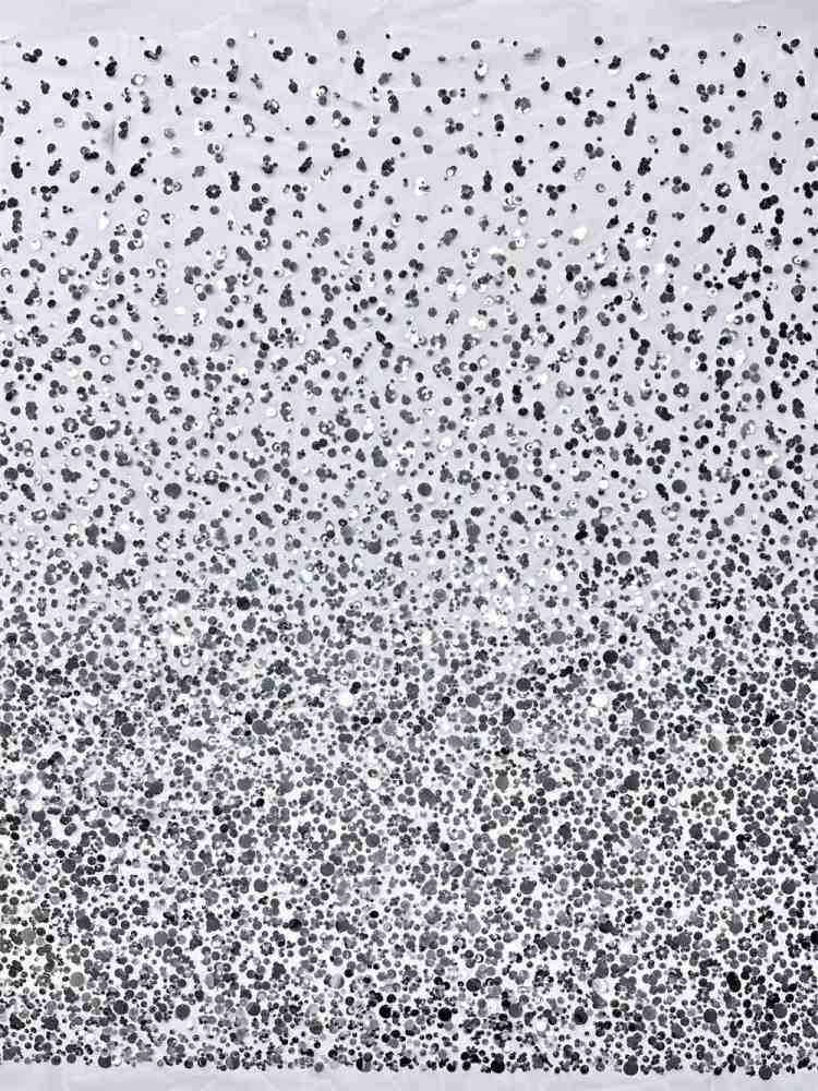 Sequin Lace Fabric HN277