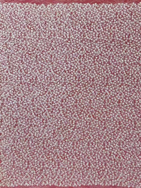Beaded Tulle Fabric - 5 Yards - Embellished with Beads | MOD HN380