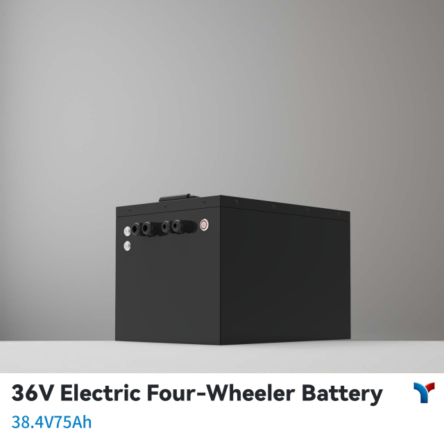36V Electric Four-wheeler LiFePO4 Battery