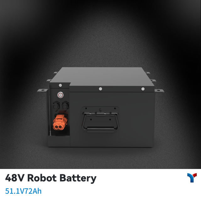 48V Robot LiFePO4 Battery LYBATT