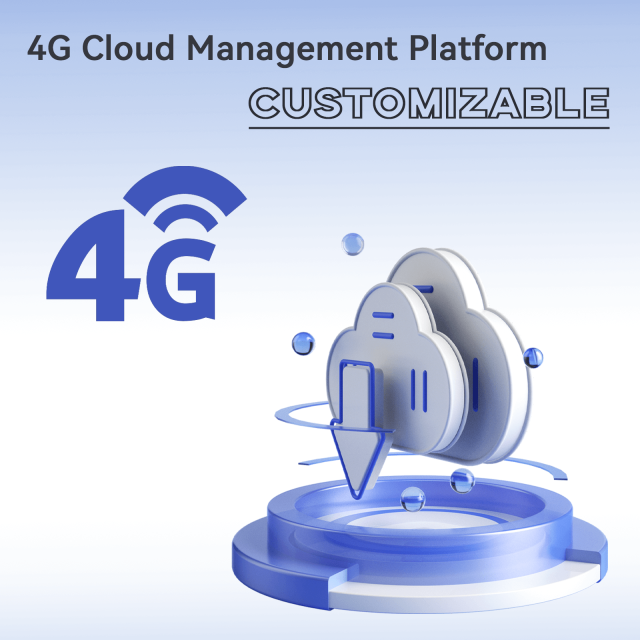 48V Electric Four-wheeler Battery