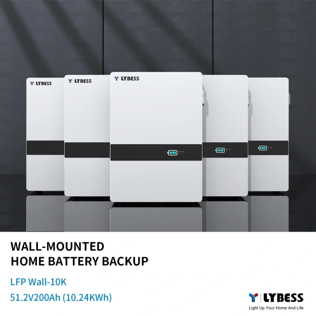 48V 200Ah Wall-mounted Battery (10Kwh)