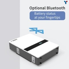 48V 200Ah Wall-mounted Battery (10Kwh)
