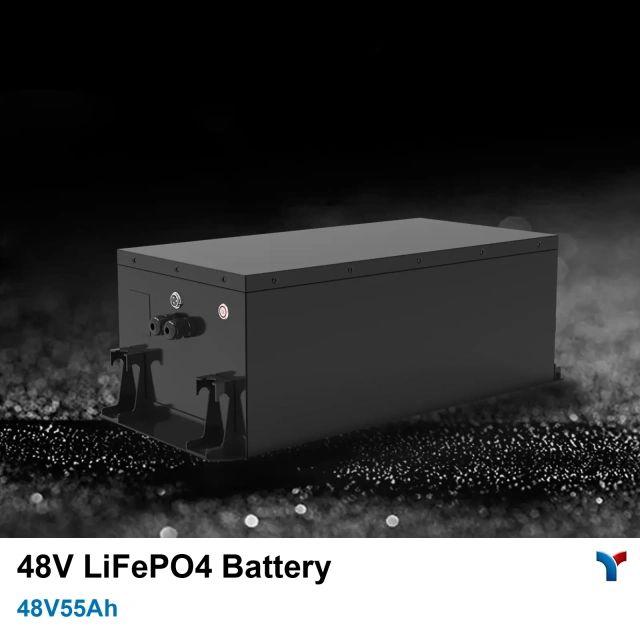 48V 50Ah LiFePO4-Akku