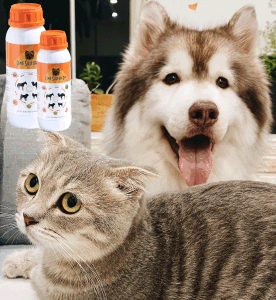 lime sulfur dip for dogs   