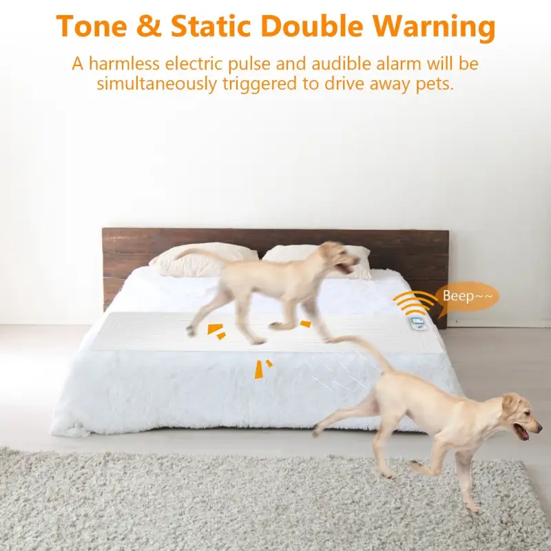 Pet Training Mat