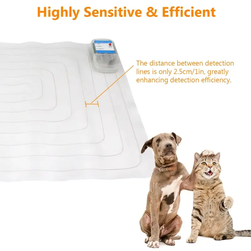 Pet Training Mat