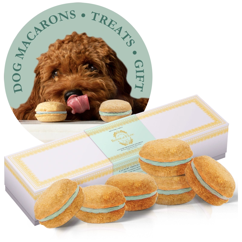 Dog Macarons - Count of 6 (Dog Treats | Dog Gifts)
