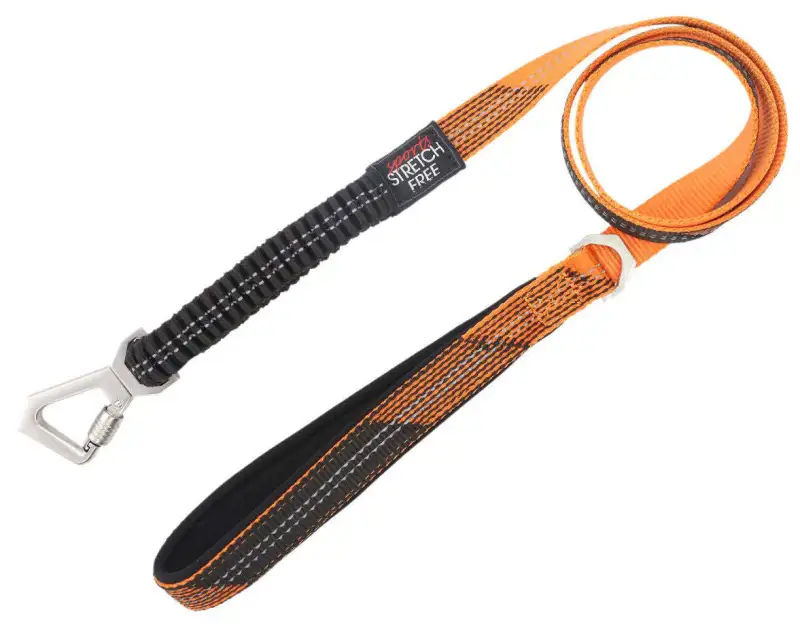 Pet Life 'Geo-prene' 2-in-1 Shock Absorbing Neoprene Padded Reflective Dog Leash and Harness