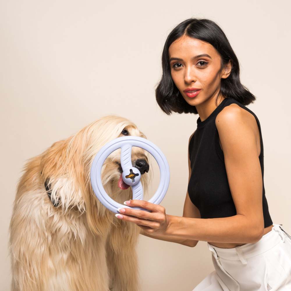 Fly Away - Mint-Infused Dog Fetching & Interactive Toy